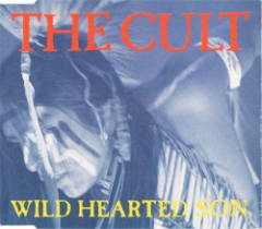 Wild Hearted Son