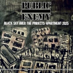 Black Sky Over the Projects: Apartment 2025