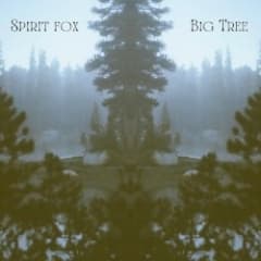 Big Tree