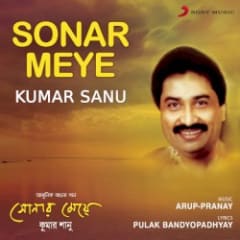 Sonar Meye