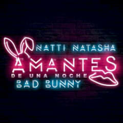 Amantes de una noche