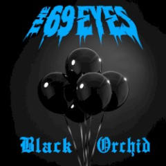Black Orchid