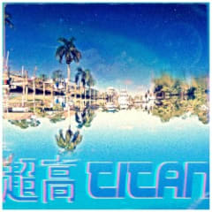 Palm City 2