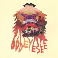 Oddeyesee