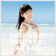 ラブラドール・レトリバー