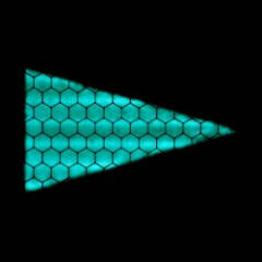 Fluorescent