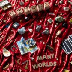 Many Worlds