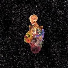 Visceral