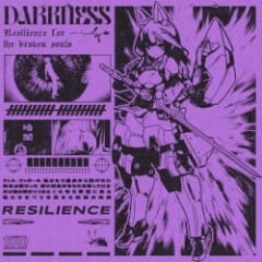resilience for the broken souls