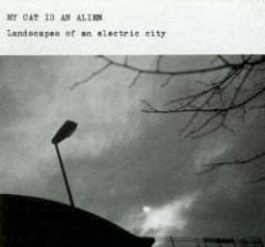 Landscapes of an Electric City