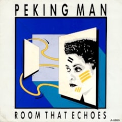 Room That Echoes