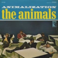 Animalization