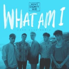 What Am I (Cash Cash remix)