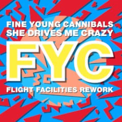 She Drives Me Crazy (Flight Facilities rework)