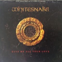 Give Me All Your Love