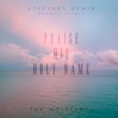 Praise His Holy Name (remix)