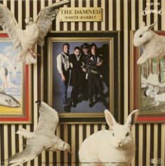White Rabbit