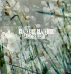 Summer Heart
