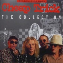 Collection