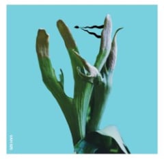 Bi-Monthly Subscription Series 02