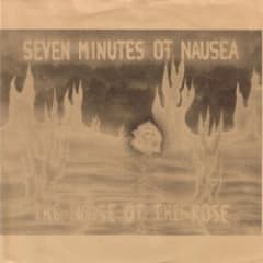 The Noise of the Rose