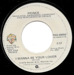 I Wanna Be Your Lover