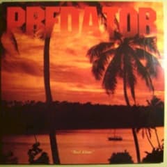 Predator Vision / Sun Araw