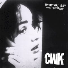 What You Say