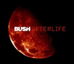Afterlife
