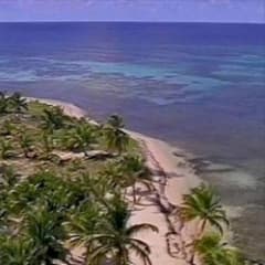 tropics