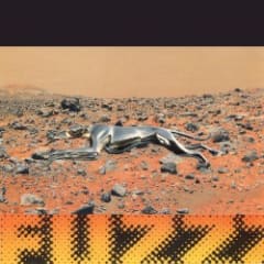 Fuzz