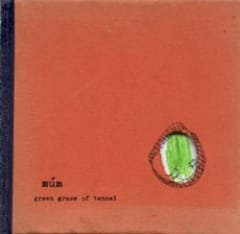 Green Grass of Tunnel
