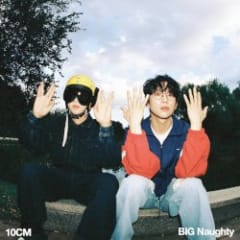 딱 10CM만