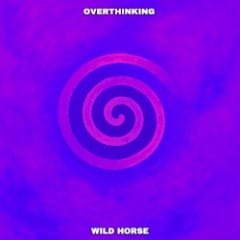 Overthinking