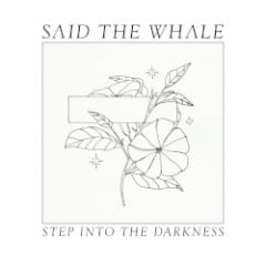 Step Into the Darkness