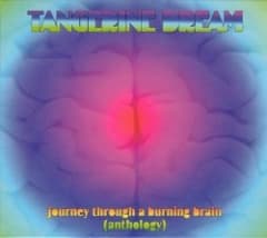 Journey Through a Burning Brain