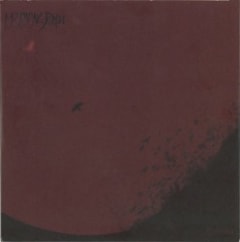 Excerpts From Evinta