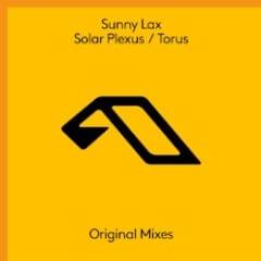 Solar Plexus / Torus