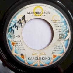 Morning Sun / Sunbird