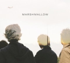 Marshmallow