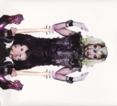 PLECTRUMELECTRUM