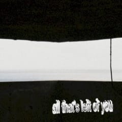 All That's Left of You
