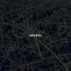 Feedback