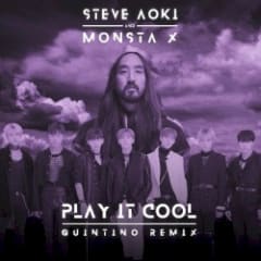 Play It Cool (Quintino remix)