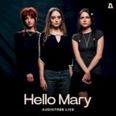 Audiotree Live