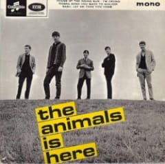 The Animals Is Here