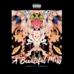 A Beautiful Mess