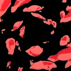 Magnetic Rose EP