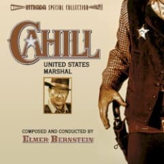 Cahill United States Marshal