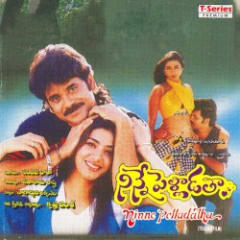 Ninne Pelladatha
